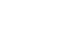 cropped-logo-lizzante-oficial